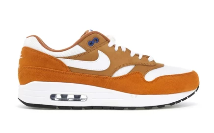 Мужские кроссовки Nike Air Max 1 Curry, мультицветные