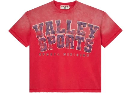 Мужская футболка Vale Forever Sports Division, цвета Burn