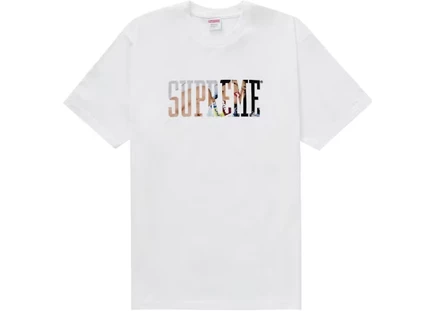 Мужская футболка Supreme Tera Patrick Collegiate, белая