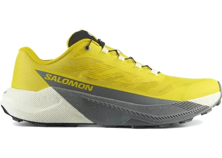 Мужские кроссовки Salomon Pulsar, Incaberry/Sedona Sage