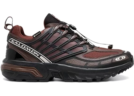 Мужские кроссовки Salomon ACS Pro Gore-Tex, глиняный/черный/темно-коричневый