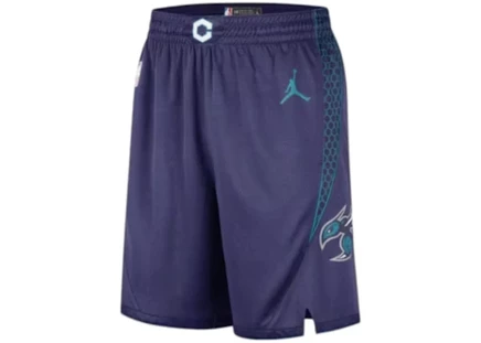 Мужские шорты Jordan Charlotte Hornets Statement, мультиколор