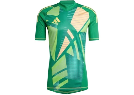 Мужская вратарская футболка Adidas Tiro 24 Pro, зеленая