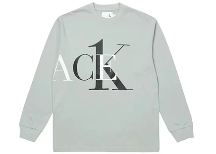 Мужской лонгслив Palace CK1, серый