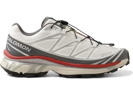Мужские кроссовки Salomon XT-6 Atmos Exclusive Crane