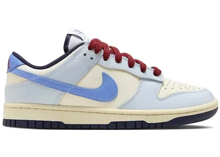 Женские кроссовки Nike Dunk Low From Nike To You, разноцветные