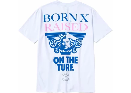 Мужская футболка Nike SB Born x Raised Capital Head, белая