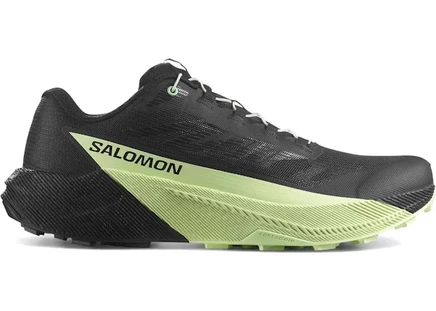 Мужские кроссовки Salomon Pulsar, черно-зеленые