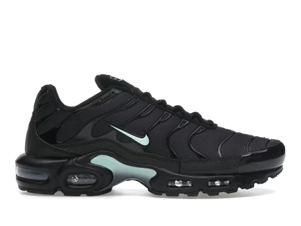 Мужские кроссовки Nike Air Max Plus, черные/мятные