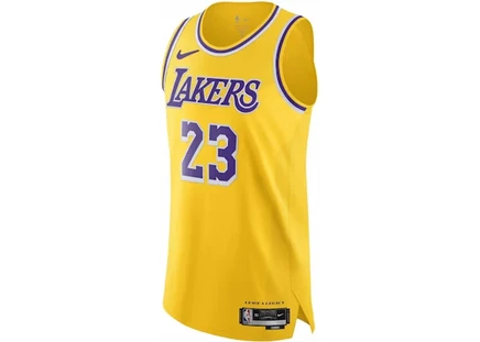 Мужская майка Nike Los Angeles Lakers Icon Edition 2022/23 Dri-FIT ADV, желтая