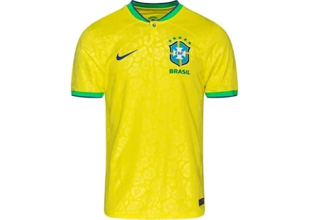 Мужская футболка Nike Brazil 2022/23, желто-зеленая/синяя