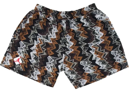 Мужские шорты Jordan x Patta, многоцветные