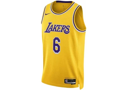 Мужская майка Nike LeBron James Icon, желто-фиолетовая