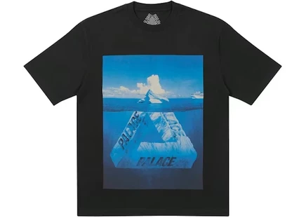 Мужская футболка Palace Berg-Ferg, черная
