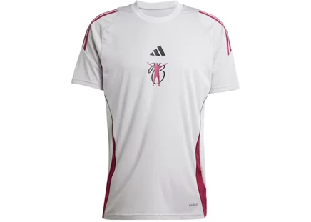 Мужская джерси Adidas Jude Bellingham, серая