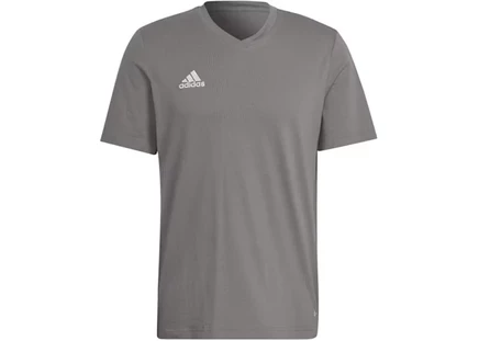 Мужская футболка Adidas Entrada 22, серая