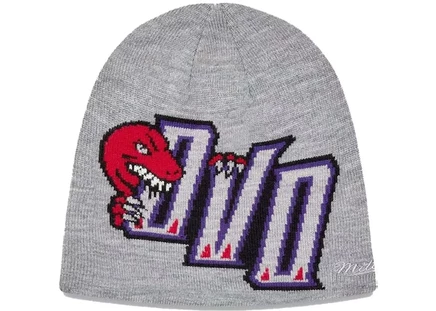 Мужская шапка Ovo Mitchell And Ness '95 Raptors, серая