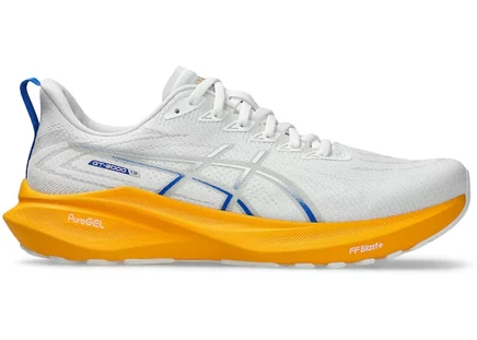 Мужские кроссовки Asics GT-2000 13, бело-серые