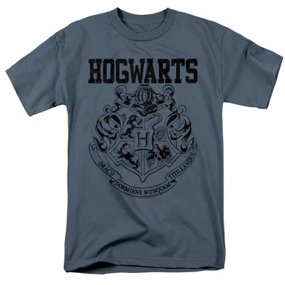 Мужская спортивная футболка Harry Potter Hogwarts slate