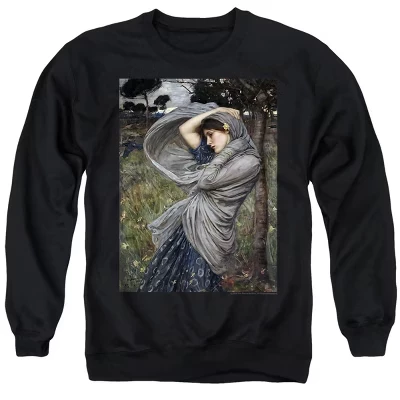 Мужская толстовка с круглым вырезом John William Waterhouse Boreas черного цвета