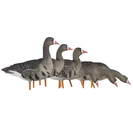 Чучела гусей Avian-X AXP Specklebelly, 6 шт.
