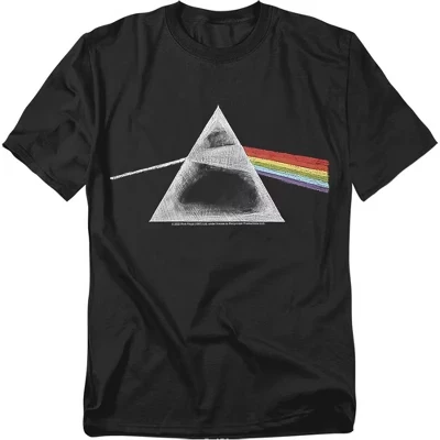 Мужская футболка Pink Floyd «Меловая призма», черная