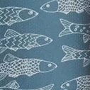 steel blue fish