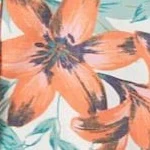 Рубашка из легкой хлопчатобумажной ткани Kate большого размера с коротким рукавом и пуговицами спереди orange paradise garden
