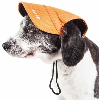 Шапка для собак Pet Life Cap-Tivating L, черно-оранжевая