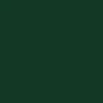 Взрослая футболка защитника Звездного города hunter green