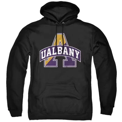 Мужское худи NCAA University at Albany, черное