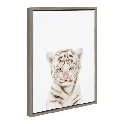 Холст в рамке Sylvie Animal Studio Baby White Tiger, 18 x 24 дюйма, автор Эми Питерсон - серый