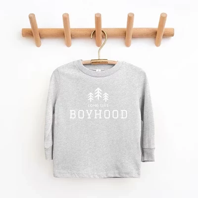 Футболка для мальчиков The Juniper Shop Boyhood, серая