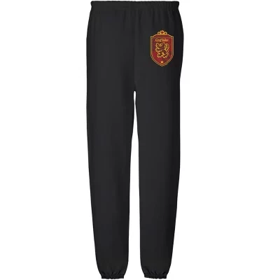 Мужские джоггеры Harry Potter Gryffindor, черные