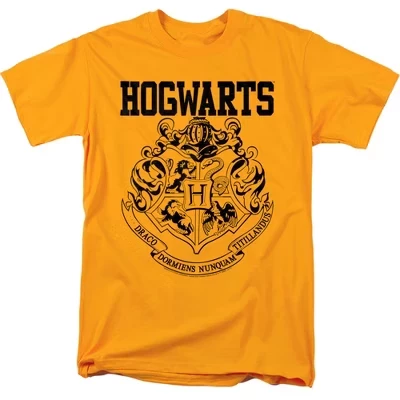 Мужская спортивная футболка Harry Potter Hogwarts золотистого цвета