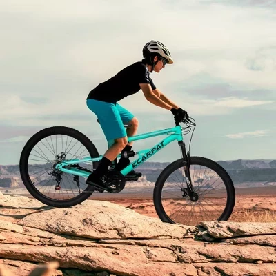 Горный велосипед Whisen 26″ сталь, 21 скорость, синий