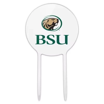 Акриловый топпер для торта Bemidji State University