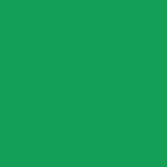 Полноразмерная толстовка с капюшоном для взрослых kelly green
