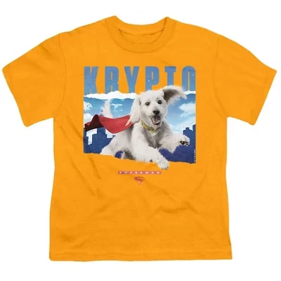 Футболка для мальчиков Superman Krypto Sky Y, золотая