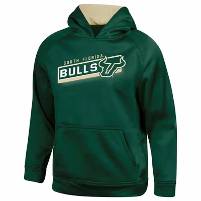 Многоцветная серая толстовка с капюшоном для мальчиков South Florida Bulls