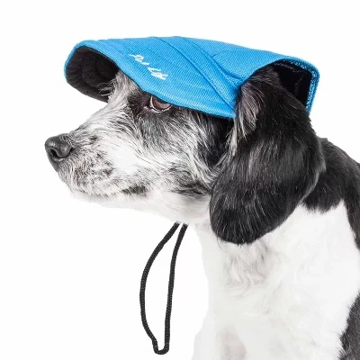 Шапка для собак Pet Life Cap-Tivating L, черно-синяя
