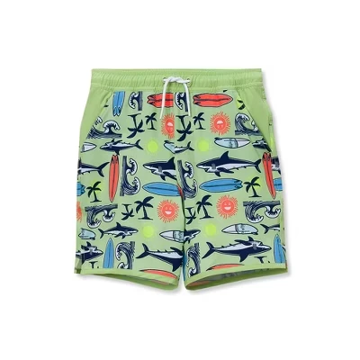 Детские плавки Lands End Hydroliner, cali surf/jade lime
