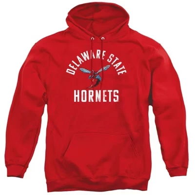 Мужское худи Delaware State University Hornets, красное