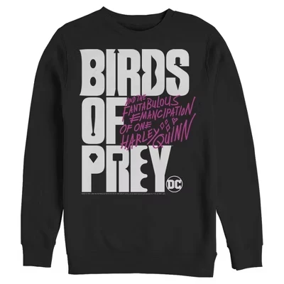 Мужской свитшот DC Comics Birds of Prey Logo, черный