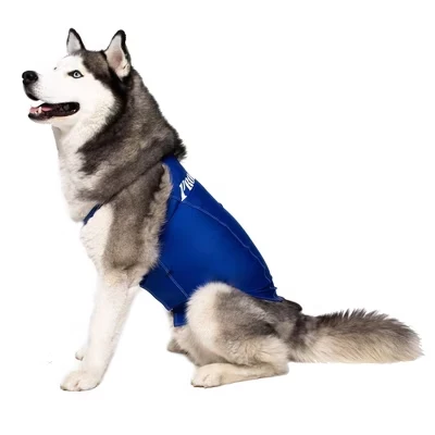 Жилет компрессионный для собак ProDogg 3XL–5XL, королевский