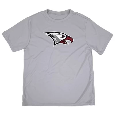 Детская футболка NCAA North Carolina Central, серый меланж