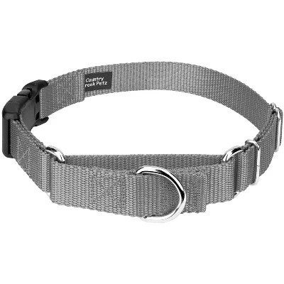 Сверхпрочный нейлоновый ошейник для собак Martingale с пластиковой пряжкой - более 30 ярких цветовых решений серебристого цвета