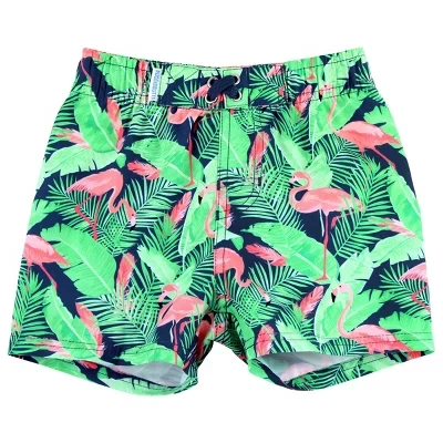 Плавки для маленьких мальчиков UPF50+ flamingo frenzy