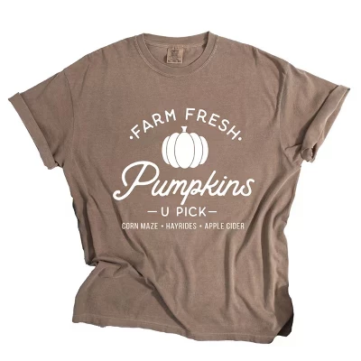 Женская футболка Simply Sage Market Farm Fresh Pumpkins крашеная, эспрессо