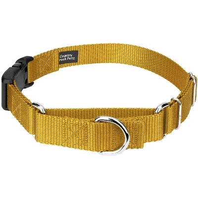 Сверхпрочный нейлоновый ошейник для собак Martingale с пластиковой пряжкой - более 30 ярких цветов золотистого цвета